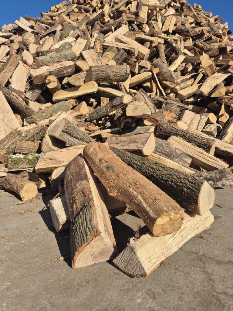 Bois de chauffage Bretagne : filière locale idéale